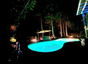 Outdoor pool, a heated pool - Fully AirConditioned Resort Style home living w/Hottub,outdoor shower and  pool. (Delta)