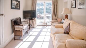 Televisión y chimenea