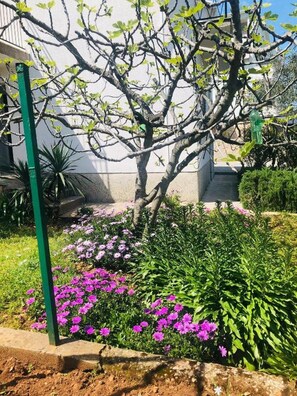 Nhà (Three Bedroom Holiday Home with Terra) | Vườn