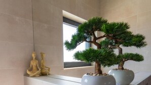 A modern interior with a minimalist design, featuring a glass shelf with two bonsai trees and two wooden statues. - Martincic Residence (Marcana)