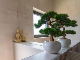 Villa (Four Bedroom Villa with Swimming Pool) | Bathroom | Shower, towels