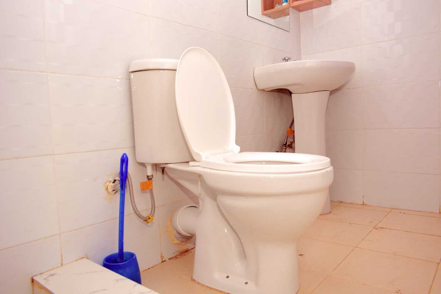 A bathroom with a toilet, a sink, and a blue cleaning brush.
