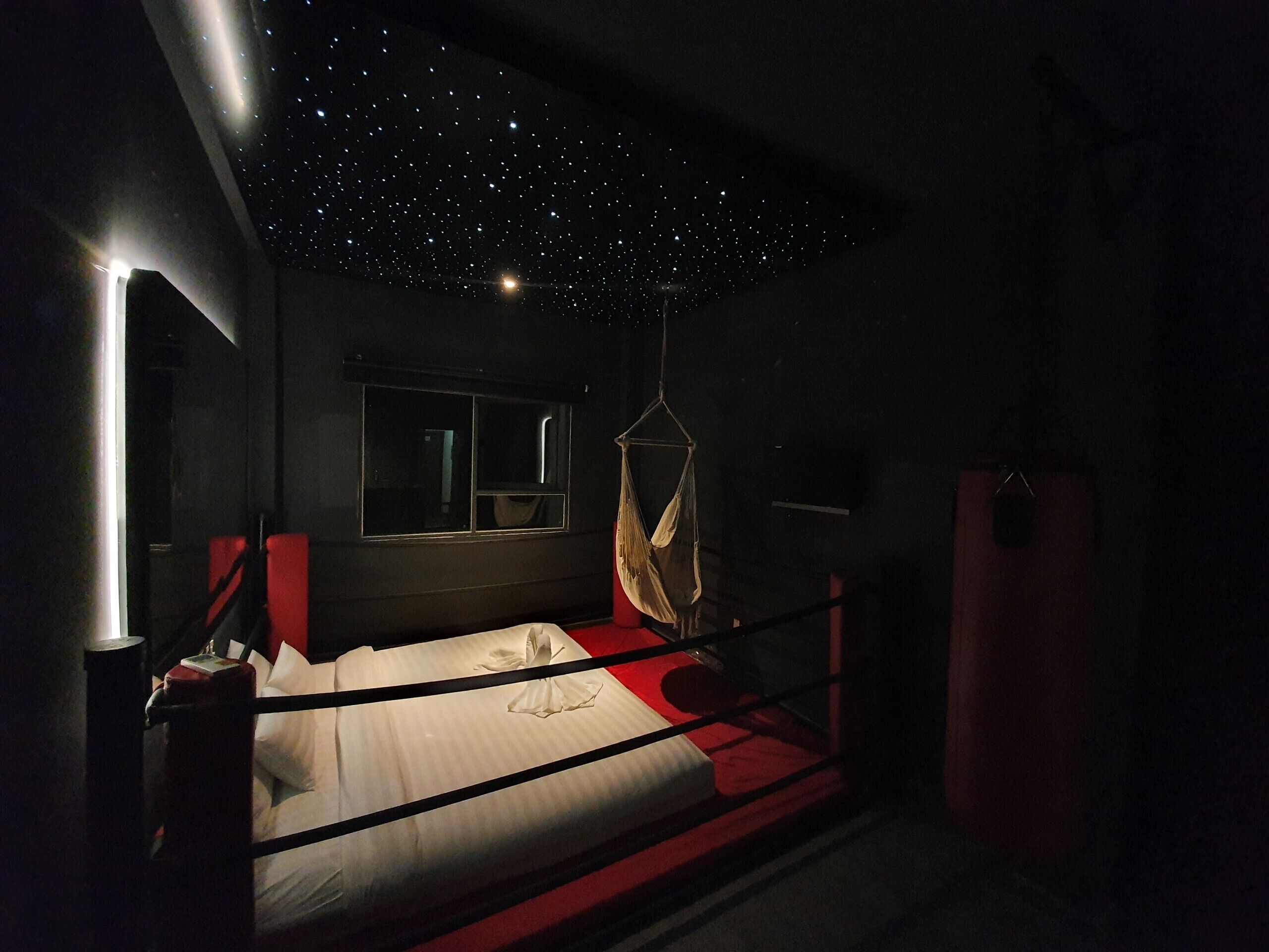A room with a bed, a hanging chair, and a starry ceiling.