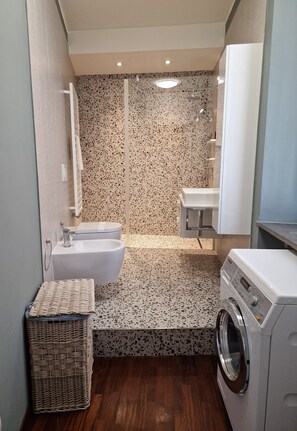 Shower, hair dryer, bidet, towels