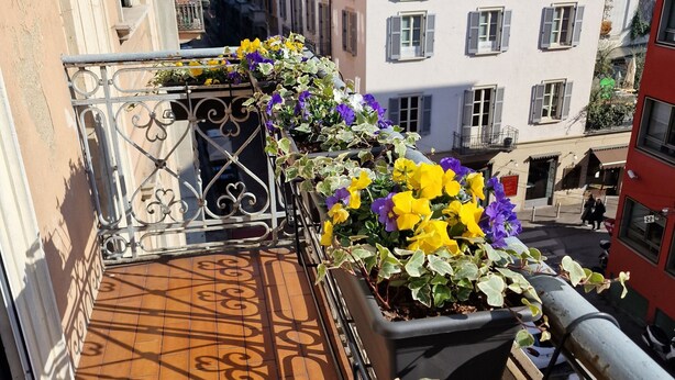 A balcony with a tiled floor and metal railing, adorned with potted plants and flowers. - Cozy flat mins walk to Navigli and metro Porta Genova [NEW] (Milano)