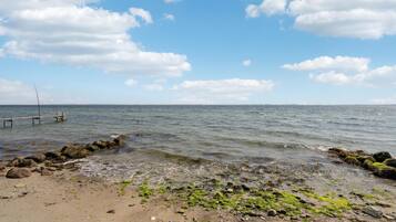 Playa en los alrededores y pesca