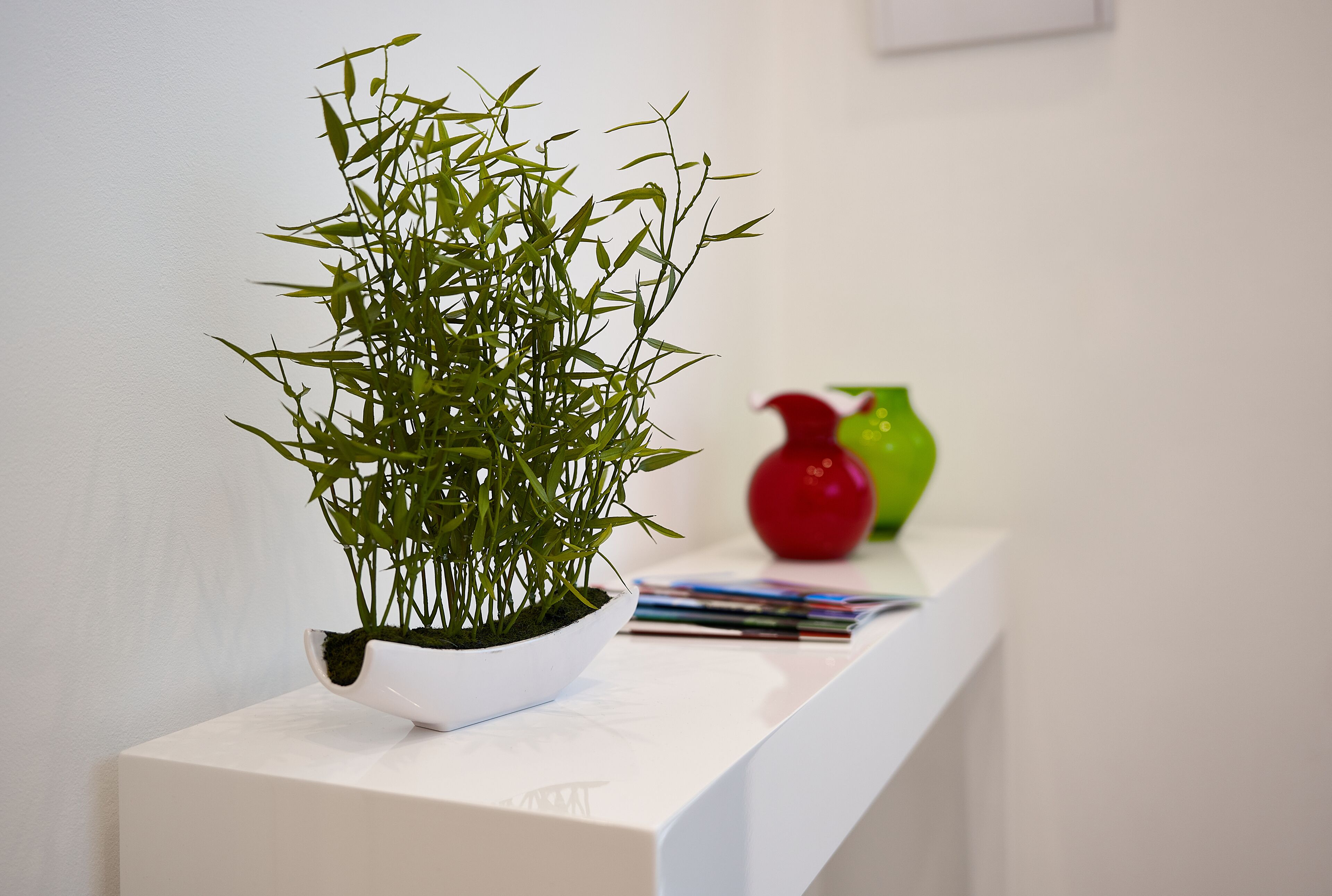 A white table with a white pot containing green plants, a red vase, and some magazines.