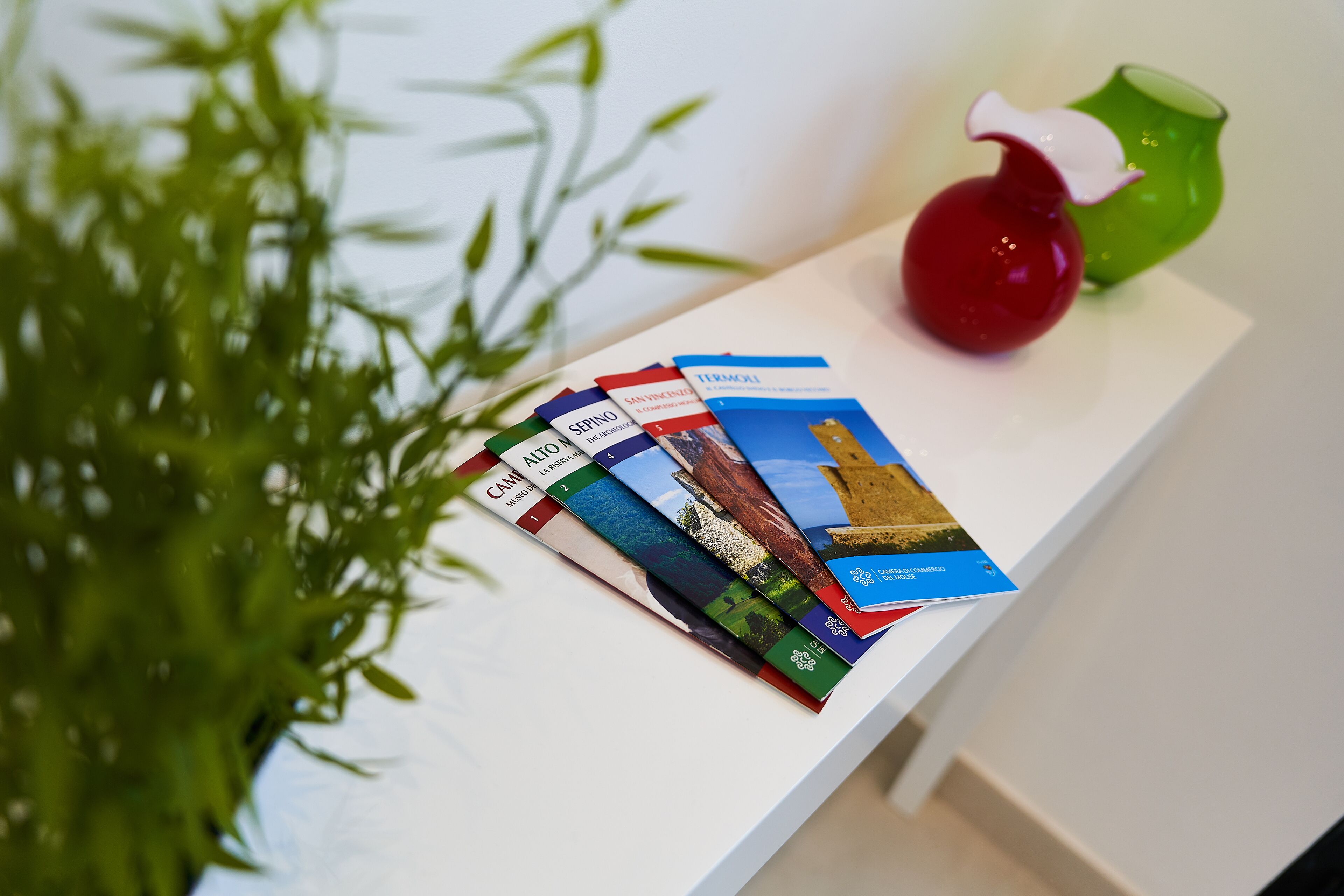 A white table with a plant and a stack of colorful brochures.