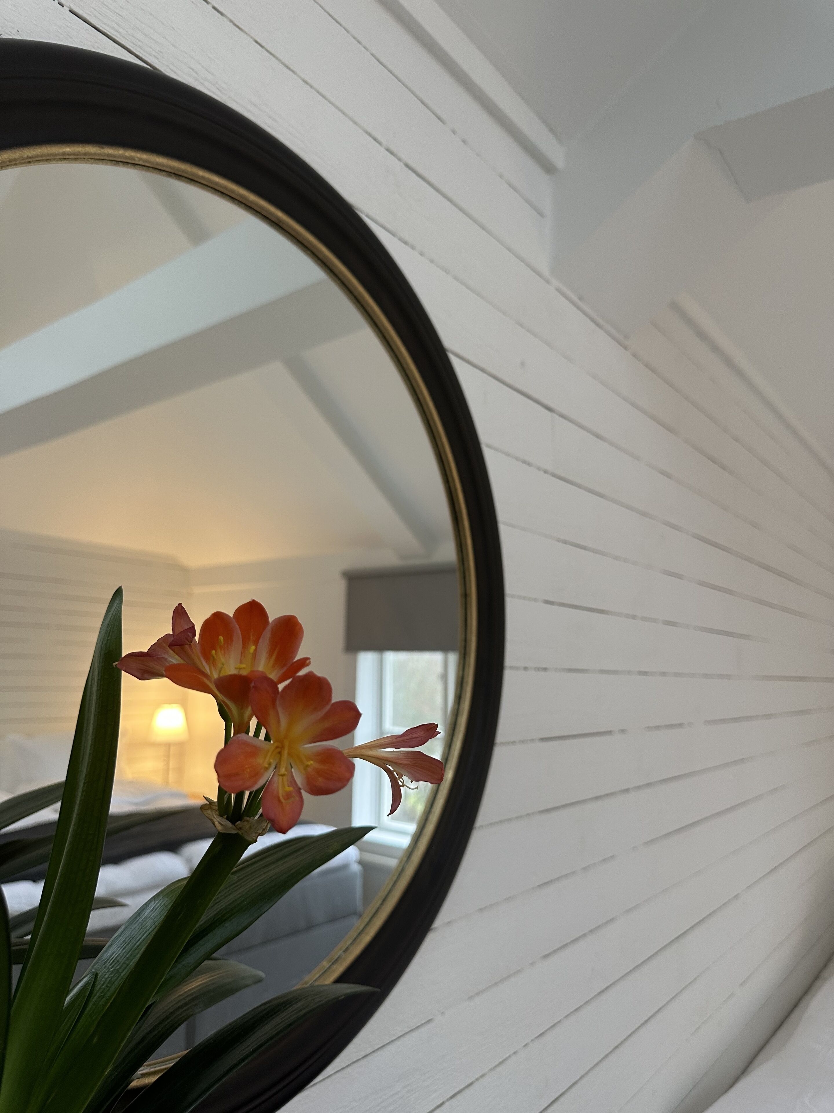 Un miroir reflétant une pièce aux murs recouverts de panneaux blancs et où se trouve un lit.