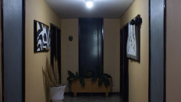 Un pasillo con una puerta oscura, un jarrón blanco con plantas secas y dos cuadros en las paredes.