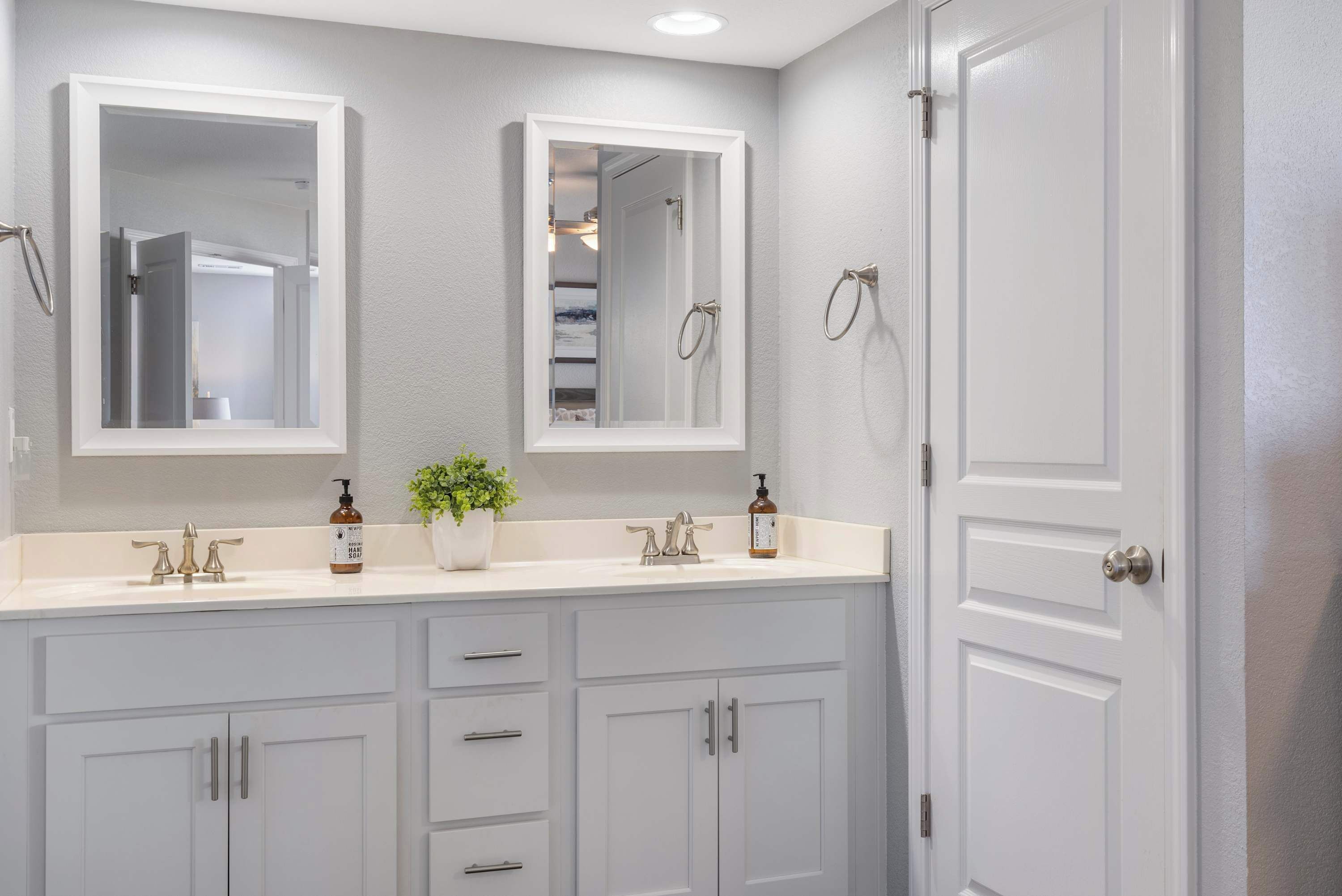A bathroom with two sinks, a mirror, a potted plant, and a door.