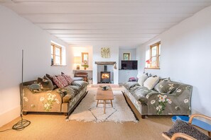 TV, fireplace - Larkspur Cottage Brundish Air Manage Suffolk (Woodbridge)