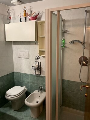 Dusche, Haartrockner, Bidet, Handtücher