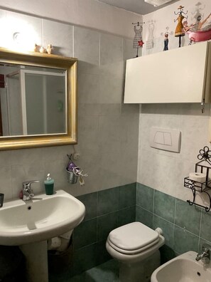 Een douche, een haardroger, een bidet, handdoeken