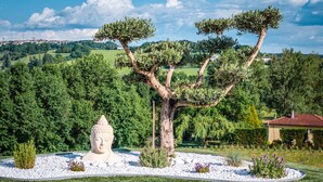 Ein angelegter Garten mit einer Buddha-Statue, einem großen Baum und einem Gebäude im Hintergrund.