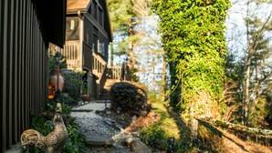 A pathway leading to a house with a wooden fence and a statue of a rooster.