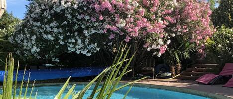 Piscine extérieure, piscine chauffée