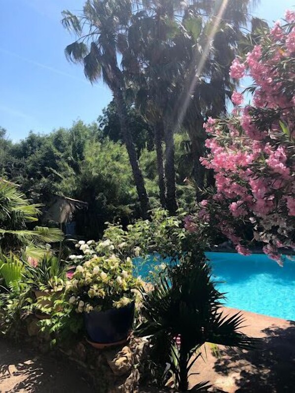 Outdoor pool, a heated pool - Atypical old sheepfold, with heated swimming pool and jacuzzi, (LE PLAN DE LA TOUR)