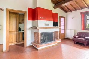 Televisión, chimenea