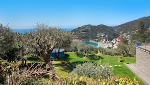 A hillside garden with a view of a coastal town, a tree, and a blue structure.