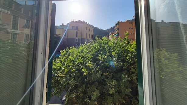 Blick durch ein Fenster mit Sonnenschein, Gebäuden und einem Baum.