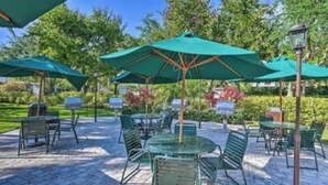 An outdoor patio area with green metal tables and chairs, surrounded by green umbrellas.