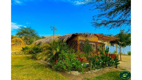 Ecolodge Cactus