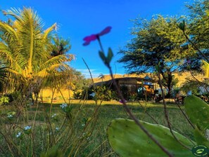 Property grounds - Ecolodge Cactus (Talara)