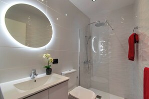Ducha, secador de pelo, toallas y papel higiénico