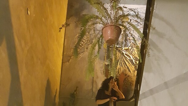 A staircase with a handrail, a potted plant, and a person standing on the stairs. - Titan House Hostel (Izmir)