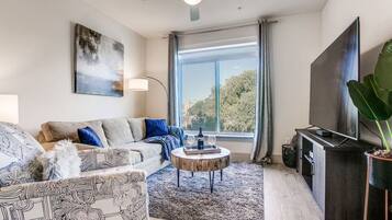 TV, video games, DVD player, books