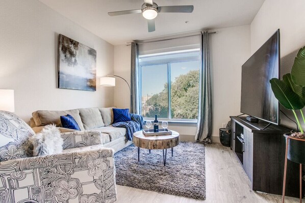 TV, video games, DVD player, books