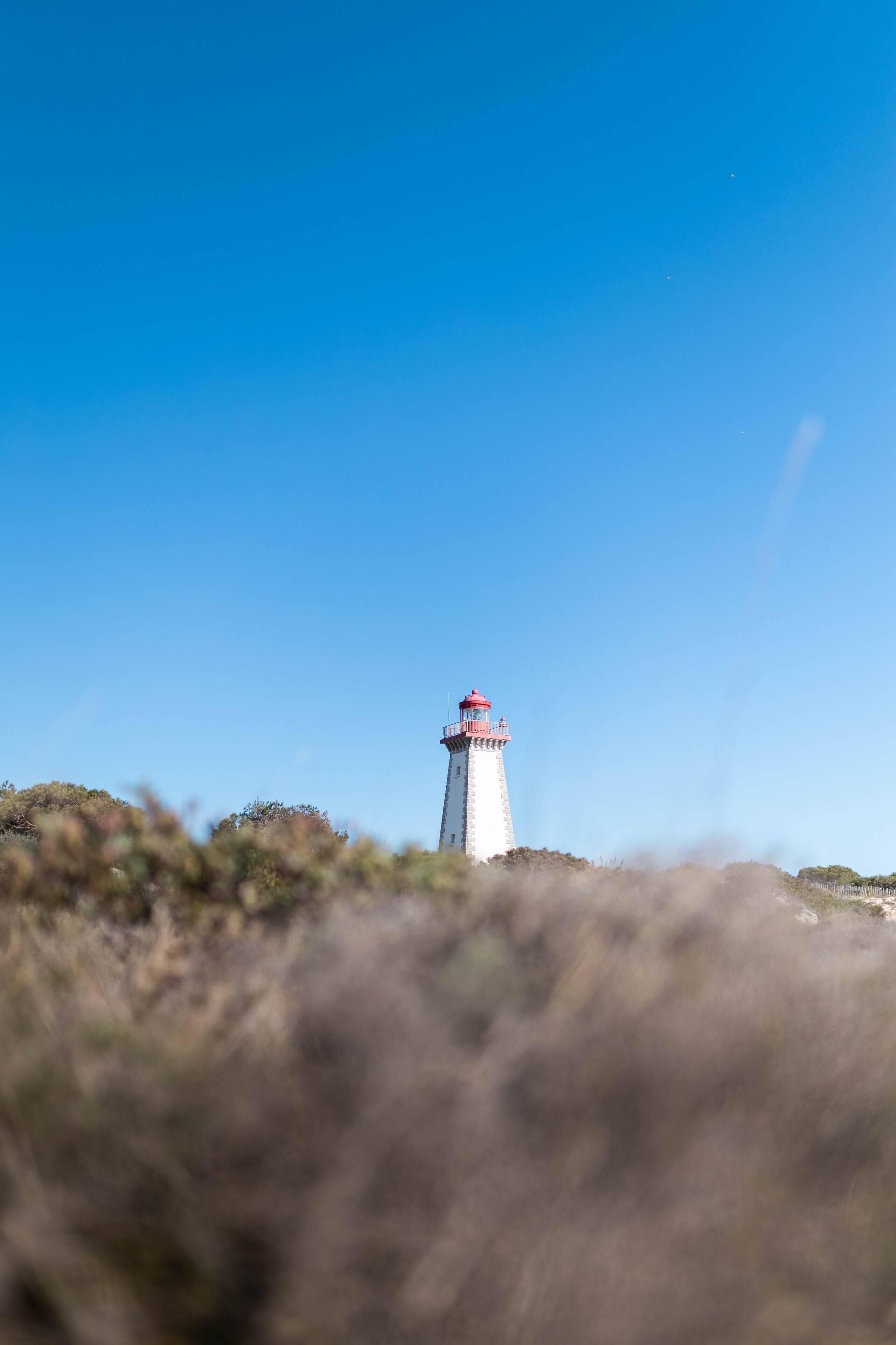 A lighthouse with a red top, surrounded by dry grass and bushes.
