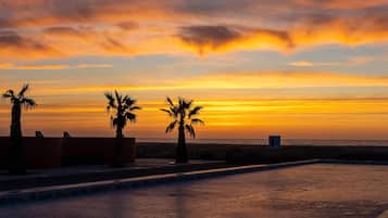 Une vue sur le coucher de soleil, avec des palmiers et une promenade dallée.