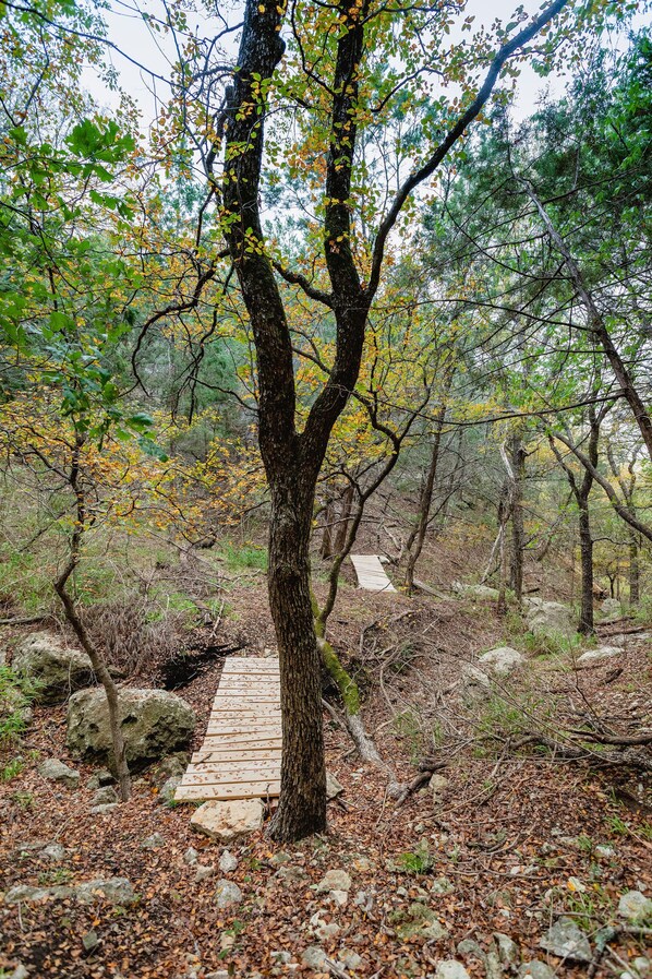 Property grounds - La Roca - Clifton/Valley Mills/Meridian (Valley Mills)