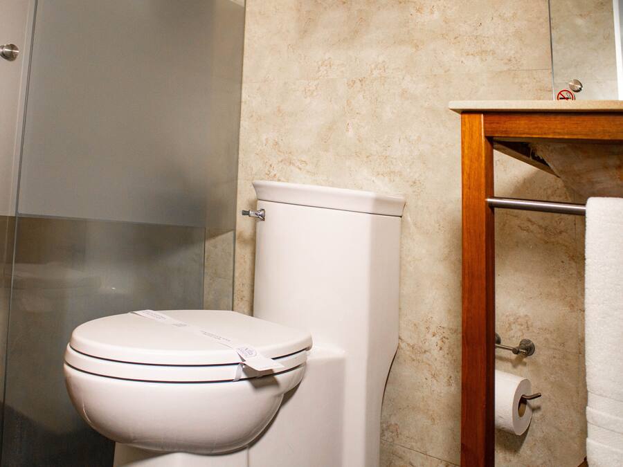 A bathroom with a toilet, a glass shower enclosure, and a wooden vanity with a towel rack.