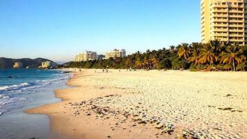 A beach with a sandy shore, palm trees, and buildings in the background.
