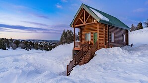 A wooden cabin with a porch and a green door, surrounded by snow. - Peaceful Cabin with Spectacular Stargazing Hot Tub (Alton)