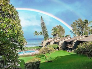 A resort with a pool, palm trees, and a view of the ocean.