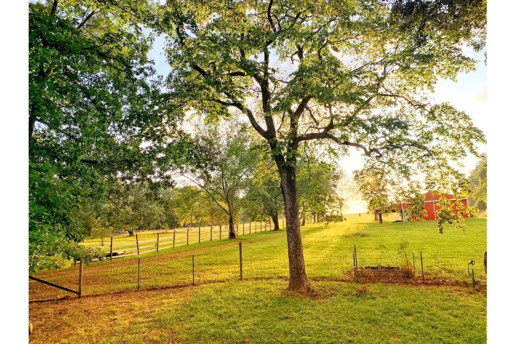 4-bdrm southern Farmhouse, 30 mins from Franklin w/ barn and acres of farmland!