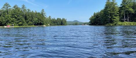Un lago tranquilo rodeado de un bosque denso y un cielo azul despejado.