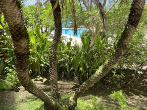 Property grounds - Cupecoy ocean view 2BR condo - pools/private beach (Sint Maarten)