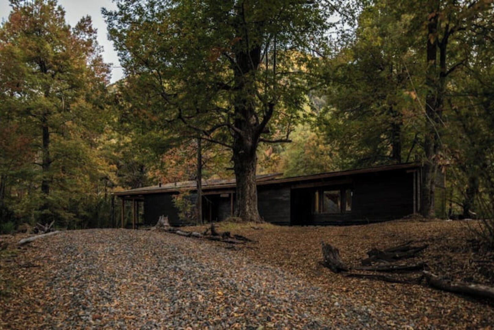 A rustic cabin surrounded by dense forest with a gravel driveway.