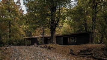 A rustic cabin surrounded by dense forest with a gravel driveway.