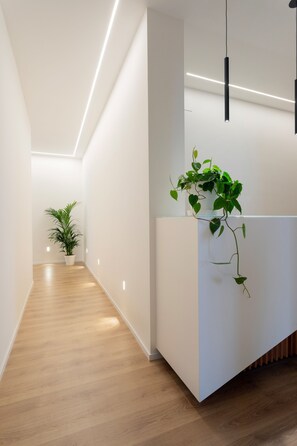 منطقة الاستقبال