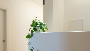 A reception desk with a potted plant, wooden flooring, and a white wall. - moris  (Palermo)