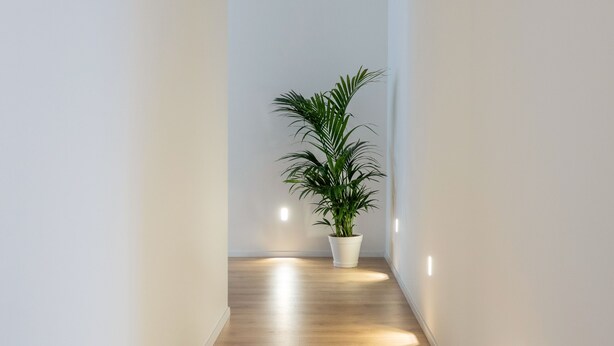A narrow hallway with wooden flooring and white walls. - moris  (Palermo)
