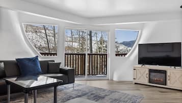 Smart TV, fireplace, video games, books