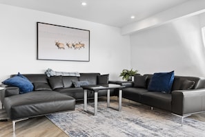 Smart TV, fireplace, video games, books