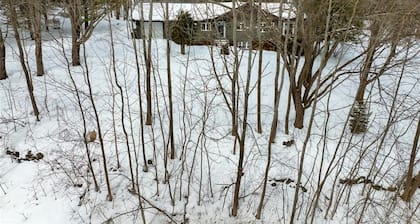Private Cabin Retreat in Pretty River Valley |15 min to Blue Mountain
